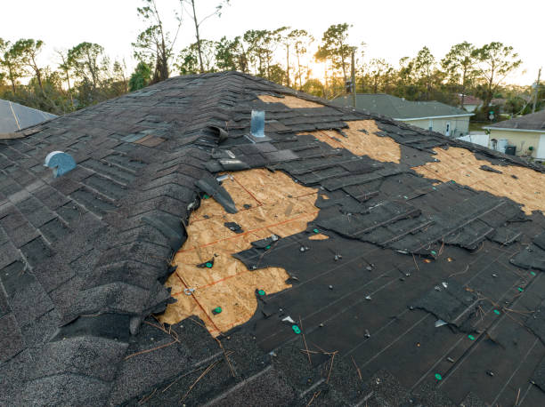 Best Gutter Installation and Repair  in Lepanto, AR